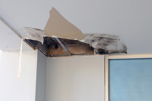 Does Removing Wallpaper Damage Walls?