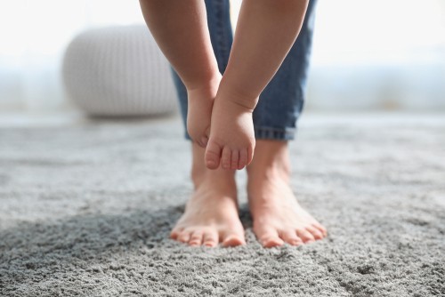 Things To Know Before Installation of Carpet Flooring