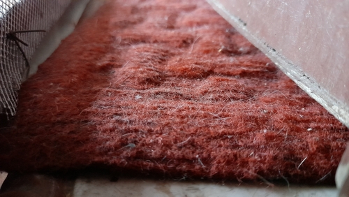 Carpet Fiber Guide Understanding the Differences Between The Materials